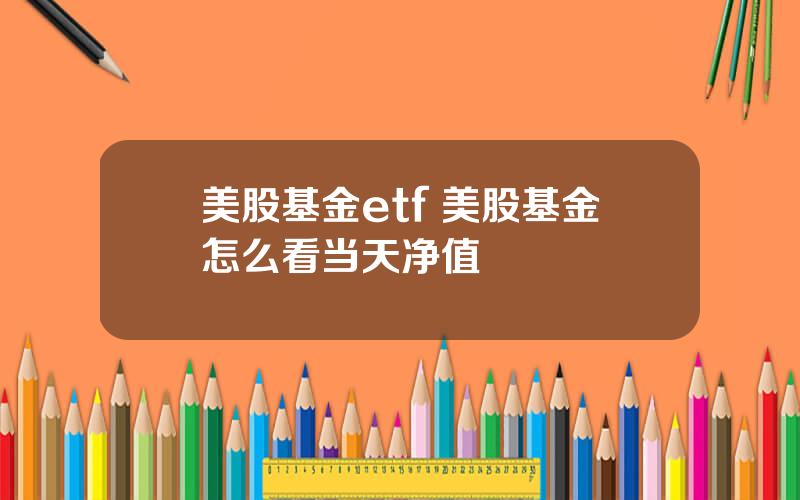 美股基金etf 美股基金怎么看当天净值
